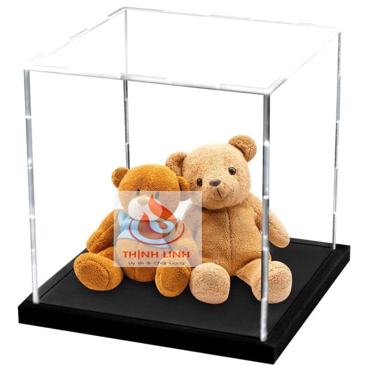 Hộp mica trưng bày gấu bông
